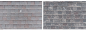 These shingles are on the same house, though the north slope (left) shows significantly less granule loss and fading than the south slope (right) due to less sun exposure.