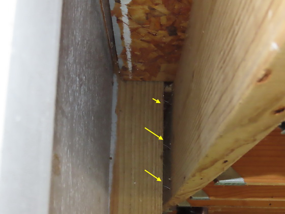 Even from half a mile away, tornadoes can cause insured losses that may be costly. A Donan engineer confirmed that this property had been damaged by high winds associated with an EF-1 tornado that passed nearby.