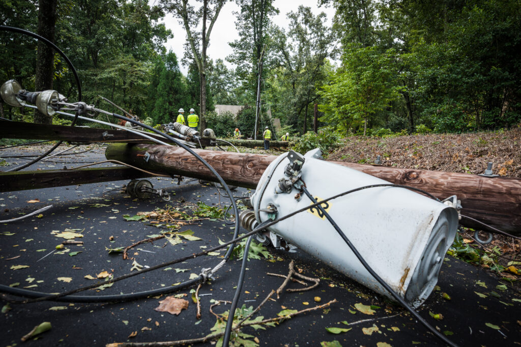 Weather data may include reports of downed trees and powerlines near a policyholder’s property.