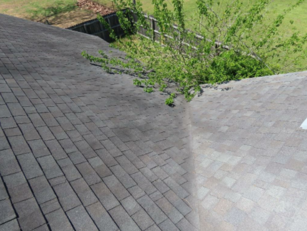 Branches resting on a roof can lead to puncture, scrapes, and tears in the roof covering, which creates an opportunity for water intrusion and infestations.