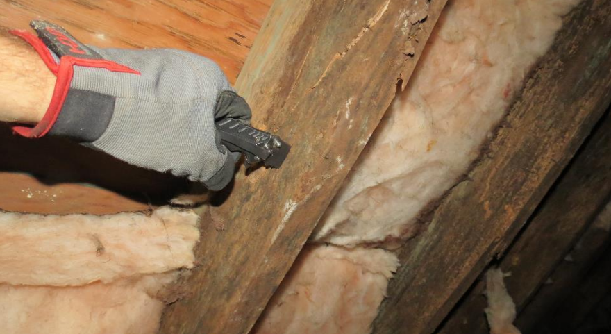 These floor joists became so rotted from crawlspace moisture that a pocketknife could fully penetrate them with minimal hand pressure.