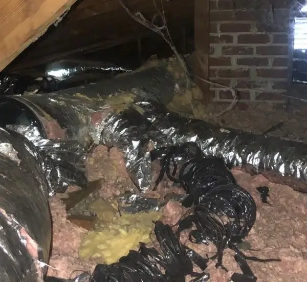 This ductwork shows signs of severe raccoon damage.