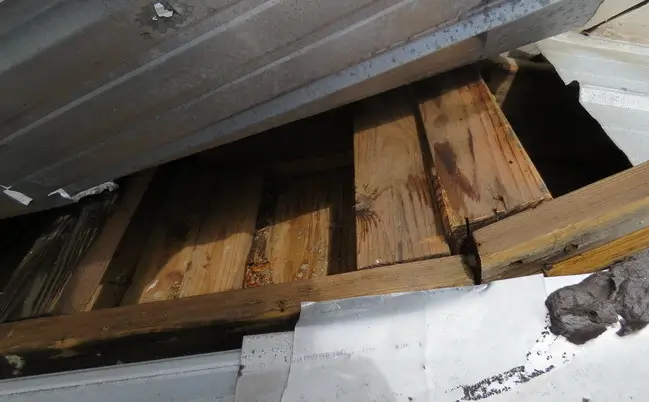 Wind peeled back this metal panel, compromising the building’s watertightness and leaving the wood roof members below vulnerable to displacement and water damage.