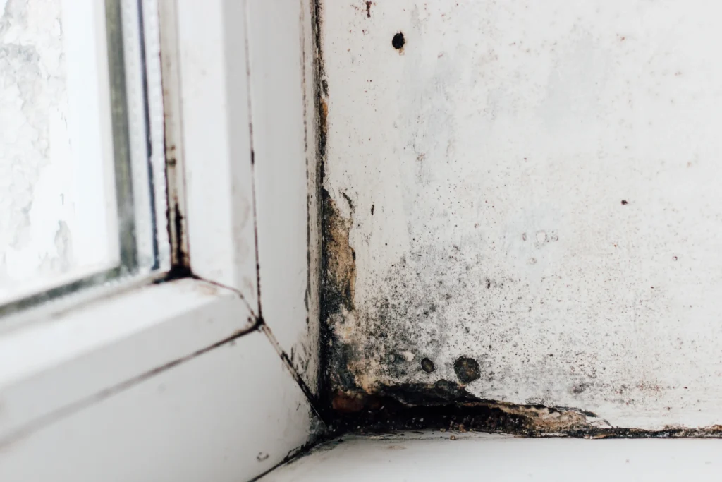 An improperly sealed window could be one way that a home sustains hidden water damage or long-term leak damage.