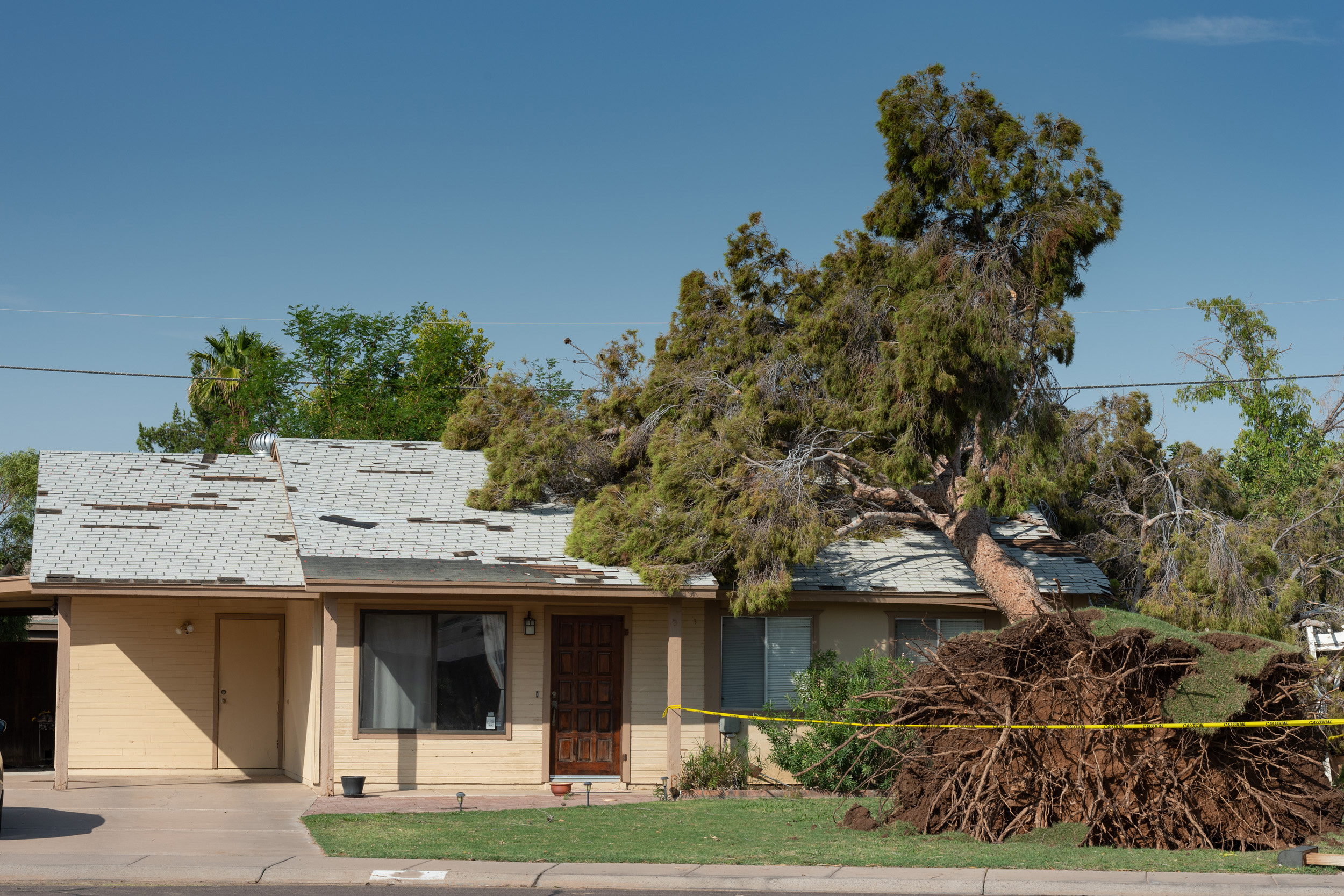 Weather events like heavy rain may cause a tree to fail and result in damage to nearby property.