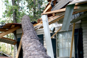 A large tree has fallen onto the roof of a house, causing visible damage to the structure and surrounding area.