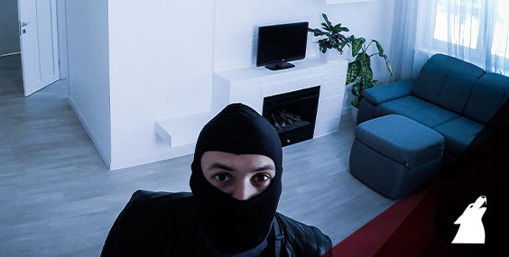 Scary Questionable Scary Story: Questionable Property Theft Details - Alpine Intel