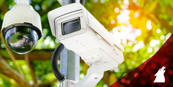 When To Use Remote Camera Deployment for Claim Investigations - Alpine ...